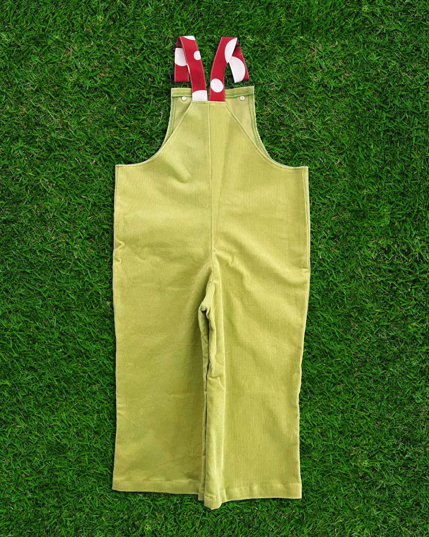 Green corduroy overalls with red and white checkered straps on a green grass background