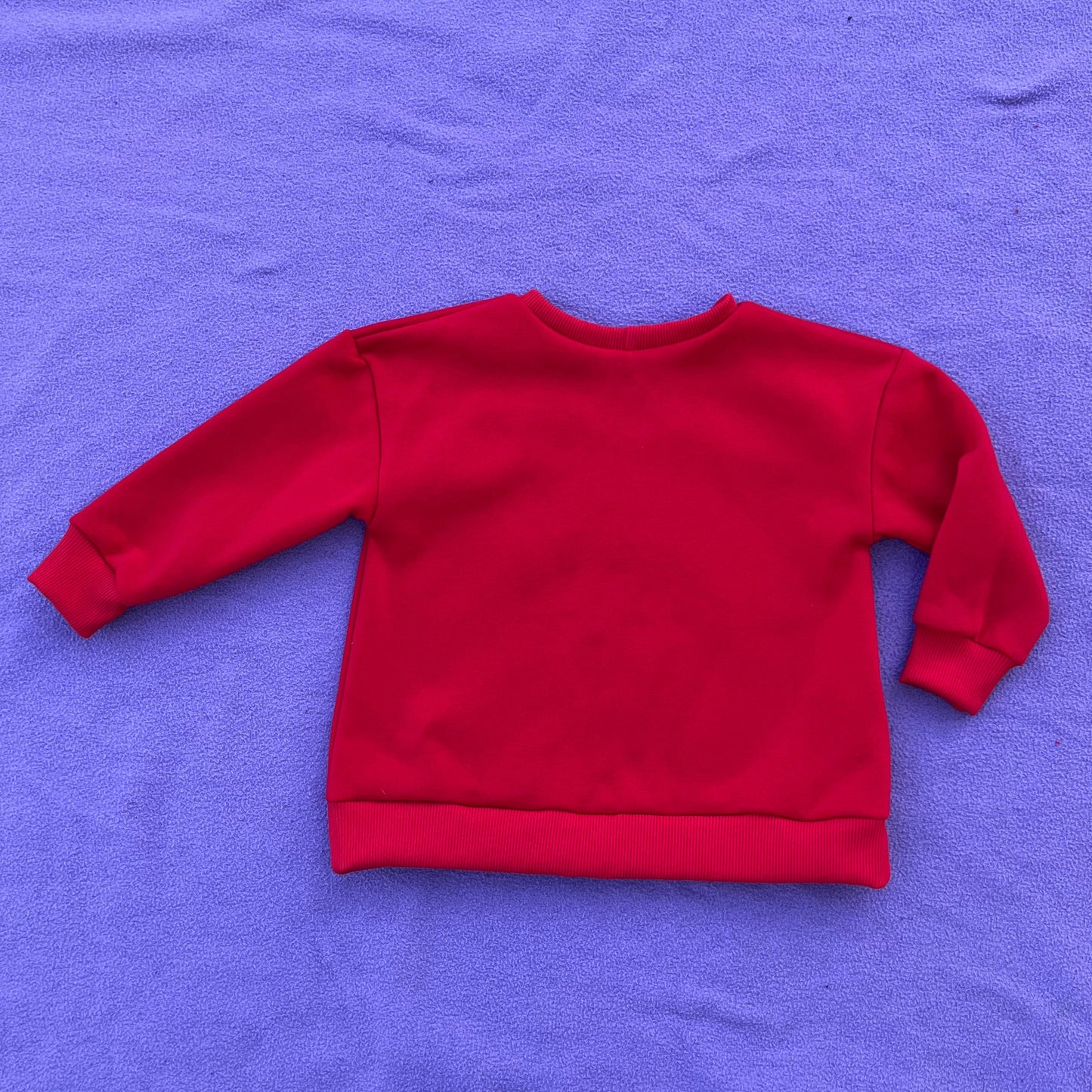 red sweatshirt on a purple background