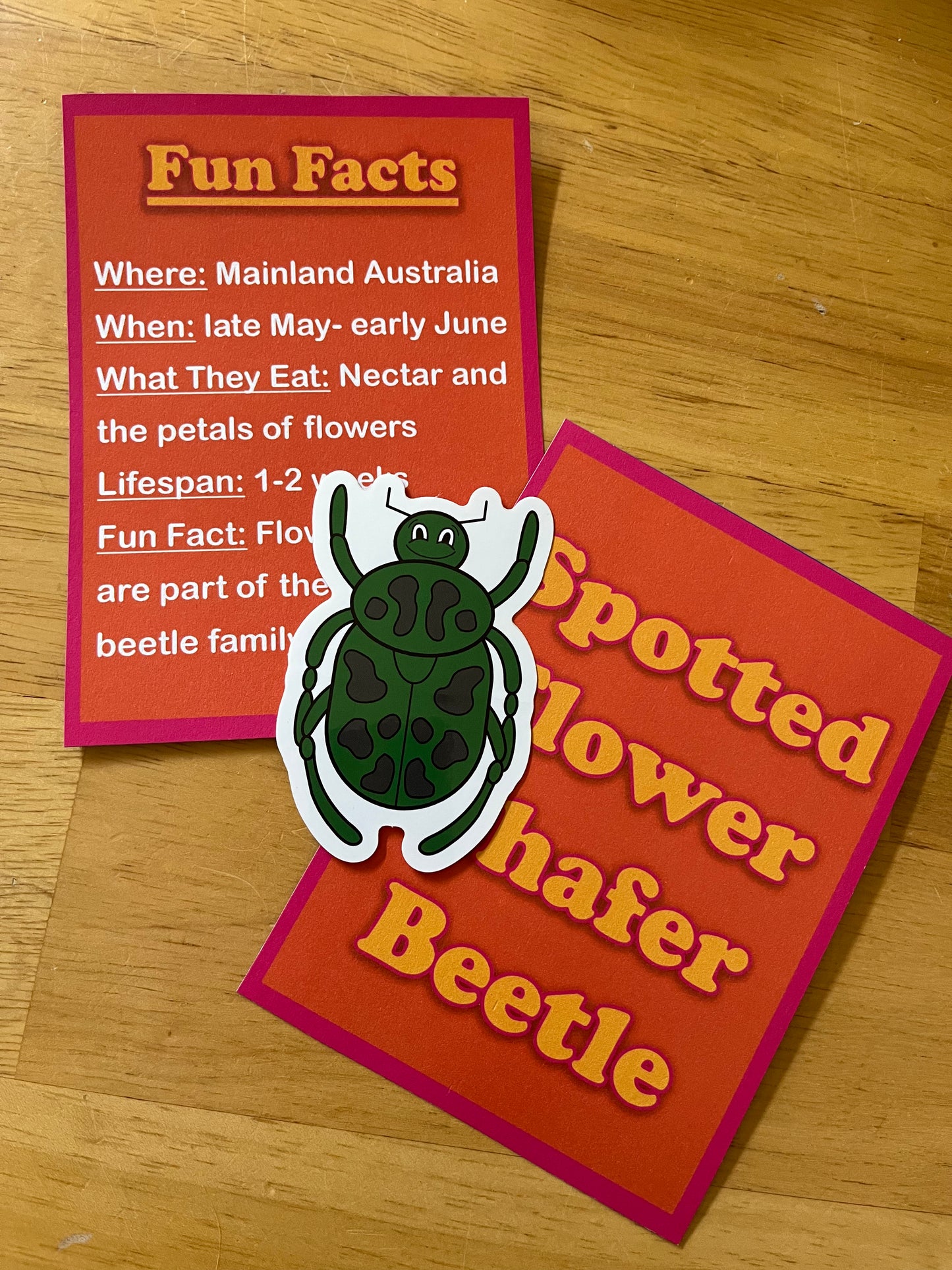 Beetle Sticker Fact Pack